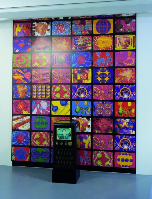 TV Tulip